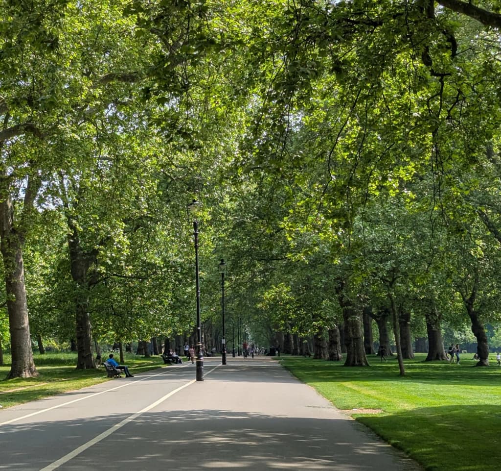 Wandering through the massive green expanse of Hyde Park London