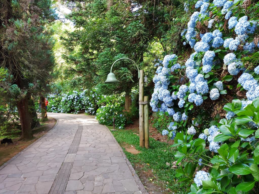 Lago Negro - Photo by Marcio Schiavelli de Toledo