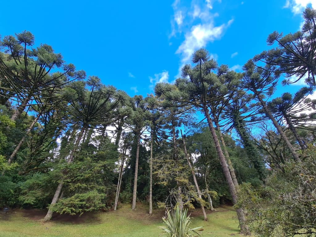 Lago Negro calm waters with paddle boats in distance