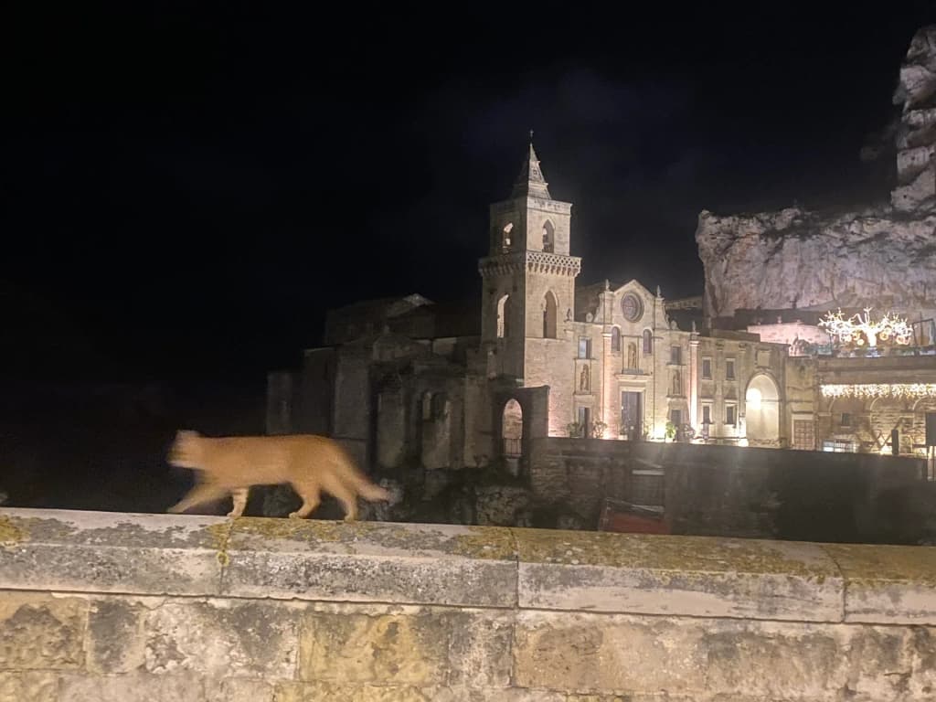 View over Matera’s labyrinthine alleys and rooftops