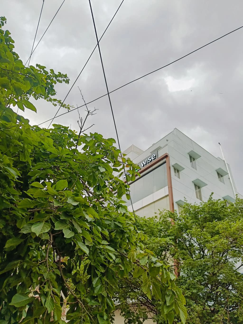 The sleek interface of the Wise app glowing on a smartphone screen, displaying currency balances against the backdrop of a bustling Brazilian street