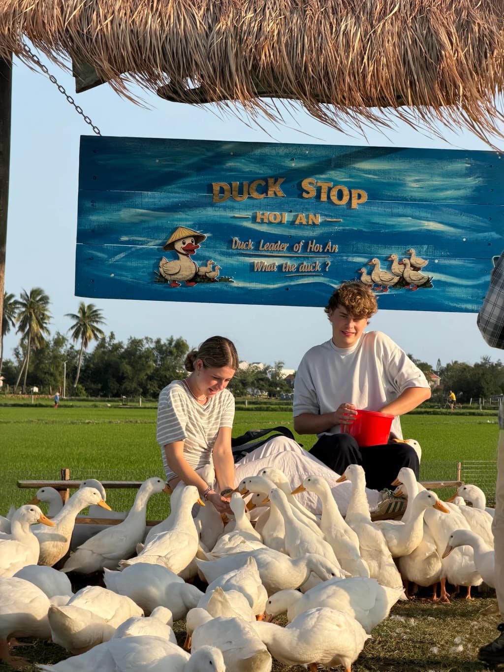 Hoi An ancient town - Photo by Coconut Boat 100.000 Vnd For Pax