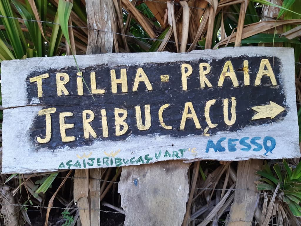 Dramatic cliffs and vegetation along the Itacaré coast