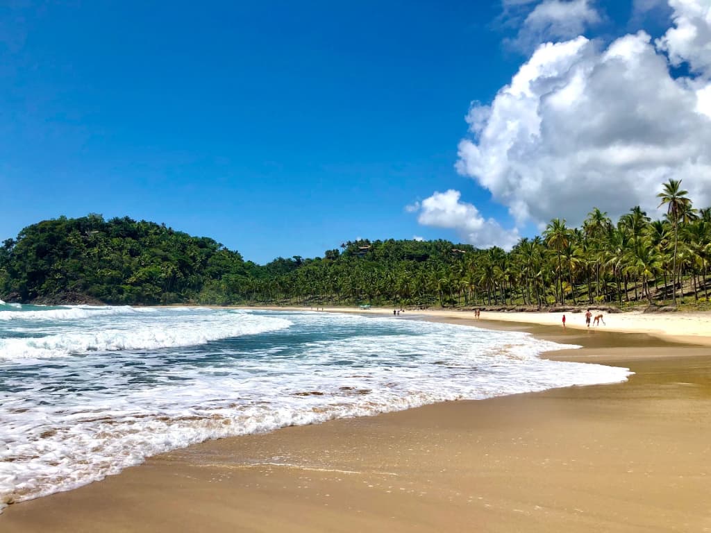 A orla preservada e cheia de coqueiros da Prainha, Itacaré