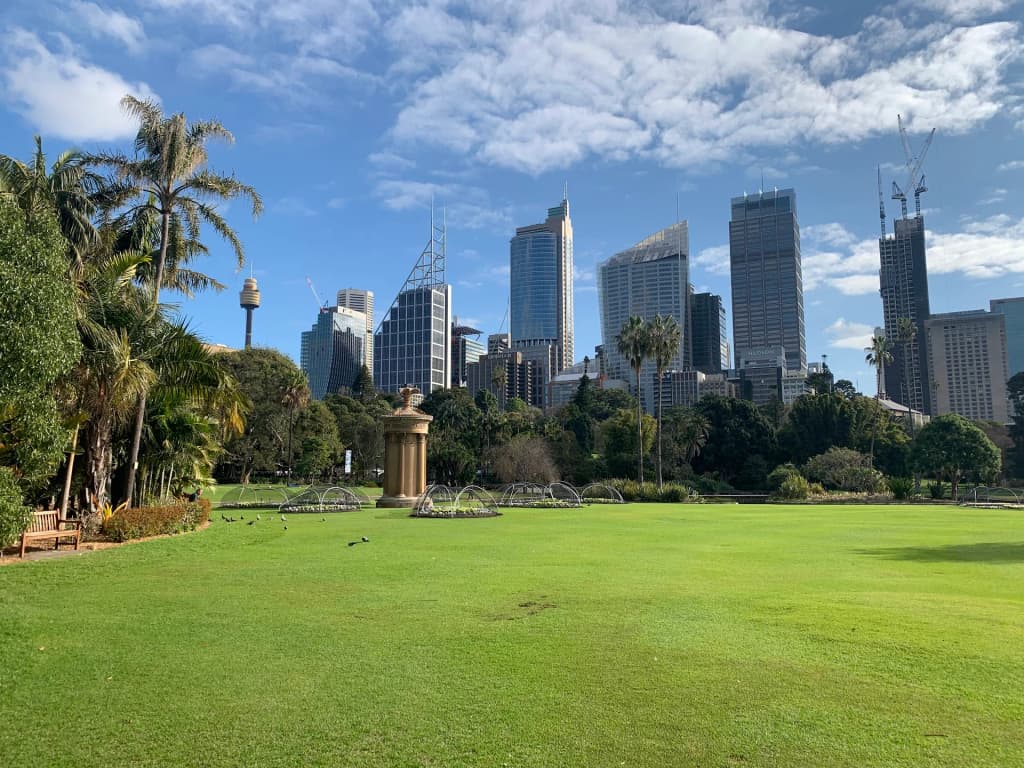 Lush greenery and spectacular harbor views at the Royal Botanic Garden Sydney