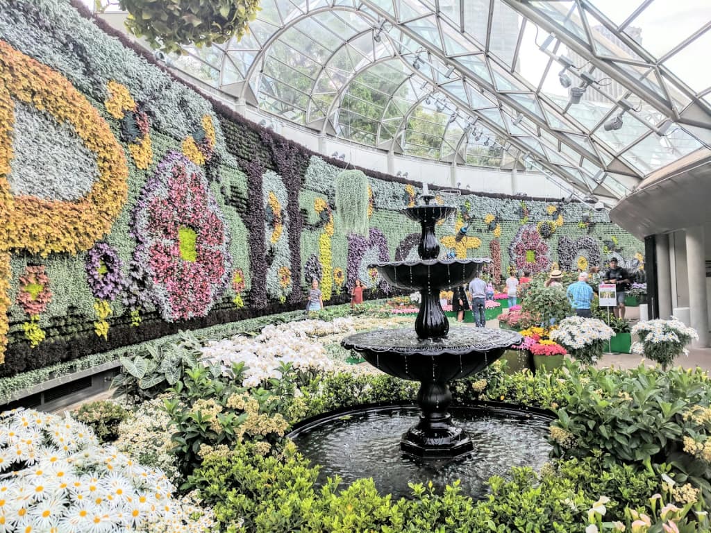 Royal Botanic Garden Sydney - Photo by Anora