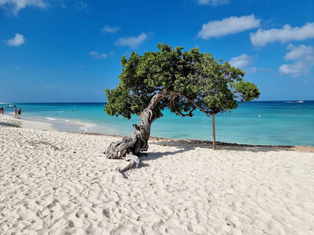 Eagle Beach - Photo by Javier Gasa