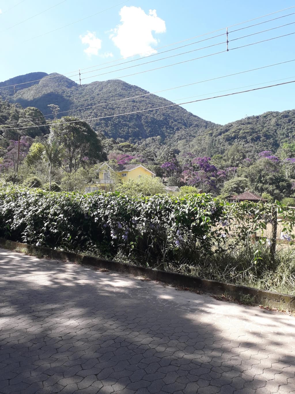 Estrada do Rocio - Photo by Iracema Loos Borges