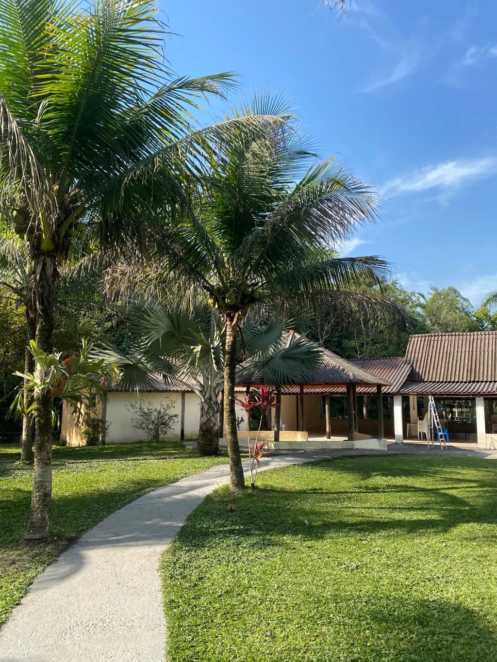 Cabaña acogedora en Sítio Vale do Ipê, escondida en el bosque