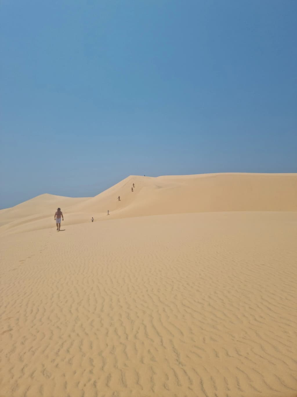 Dhows tradicionais no Arquipélago de Bazaruto