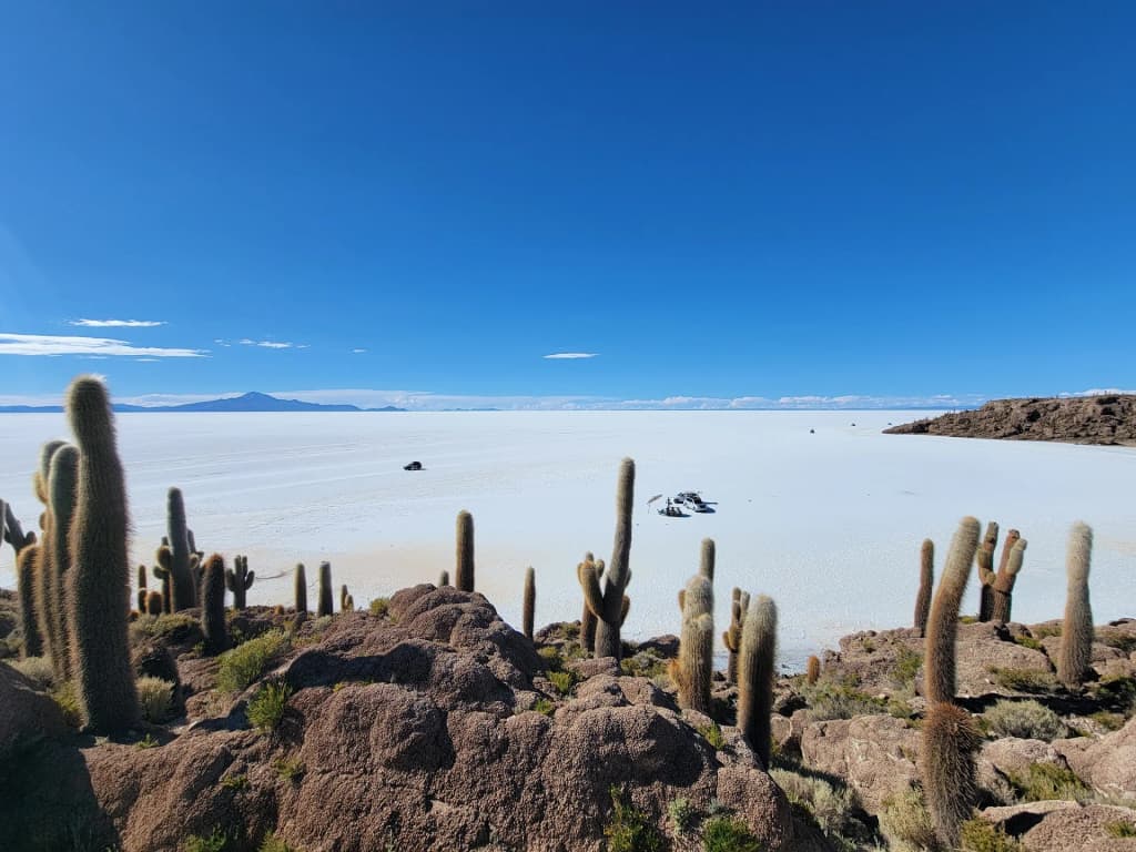 Isla Incahuasi Giant Cacti