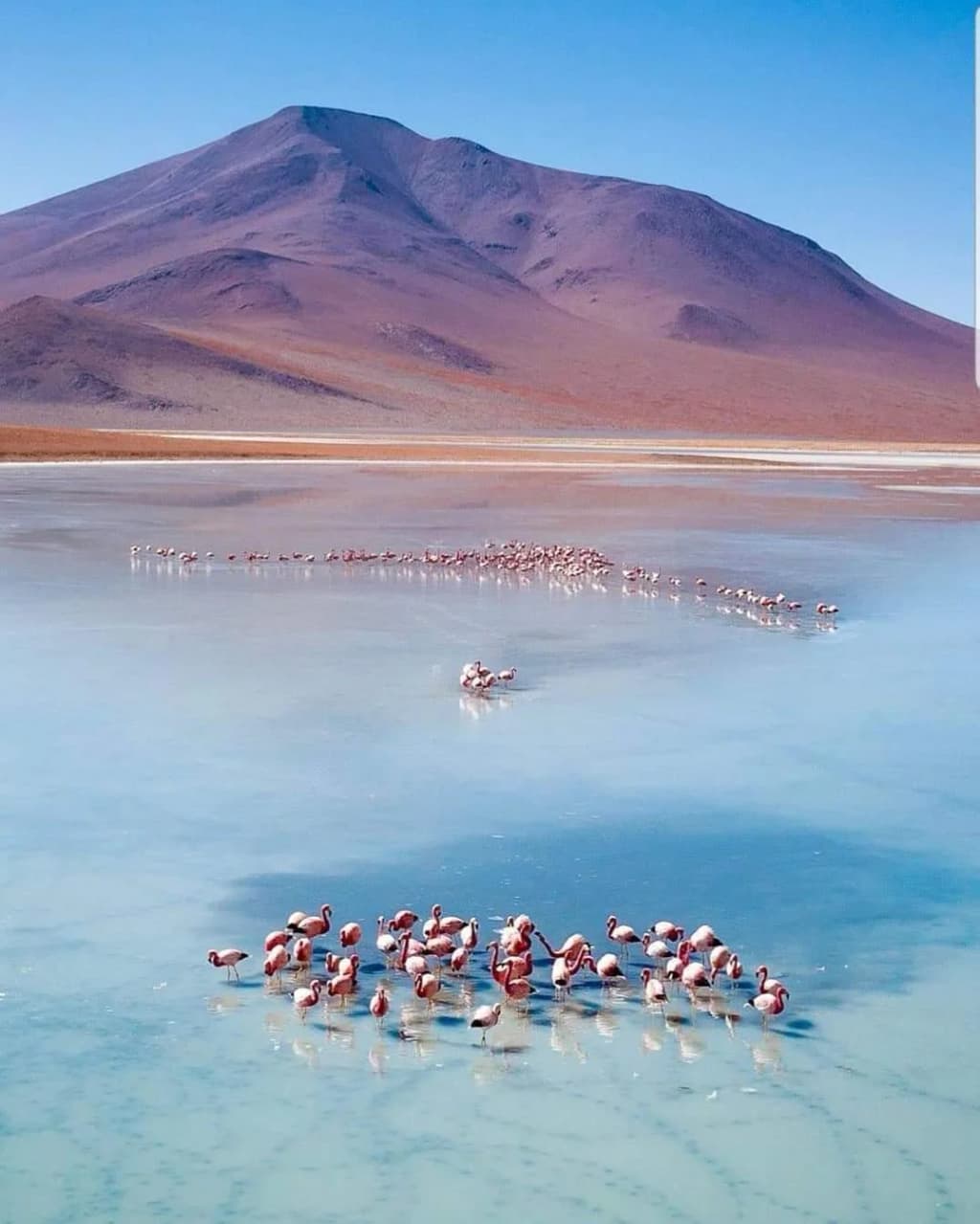 Laguna Colorada - Photo by Julio FERNANDEZ CASANOVA