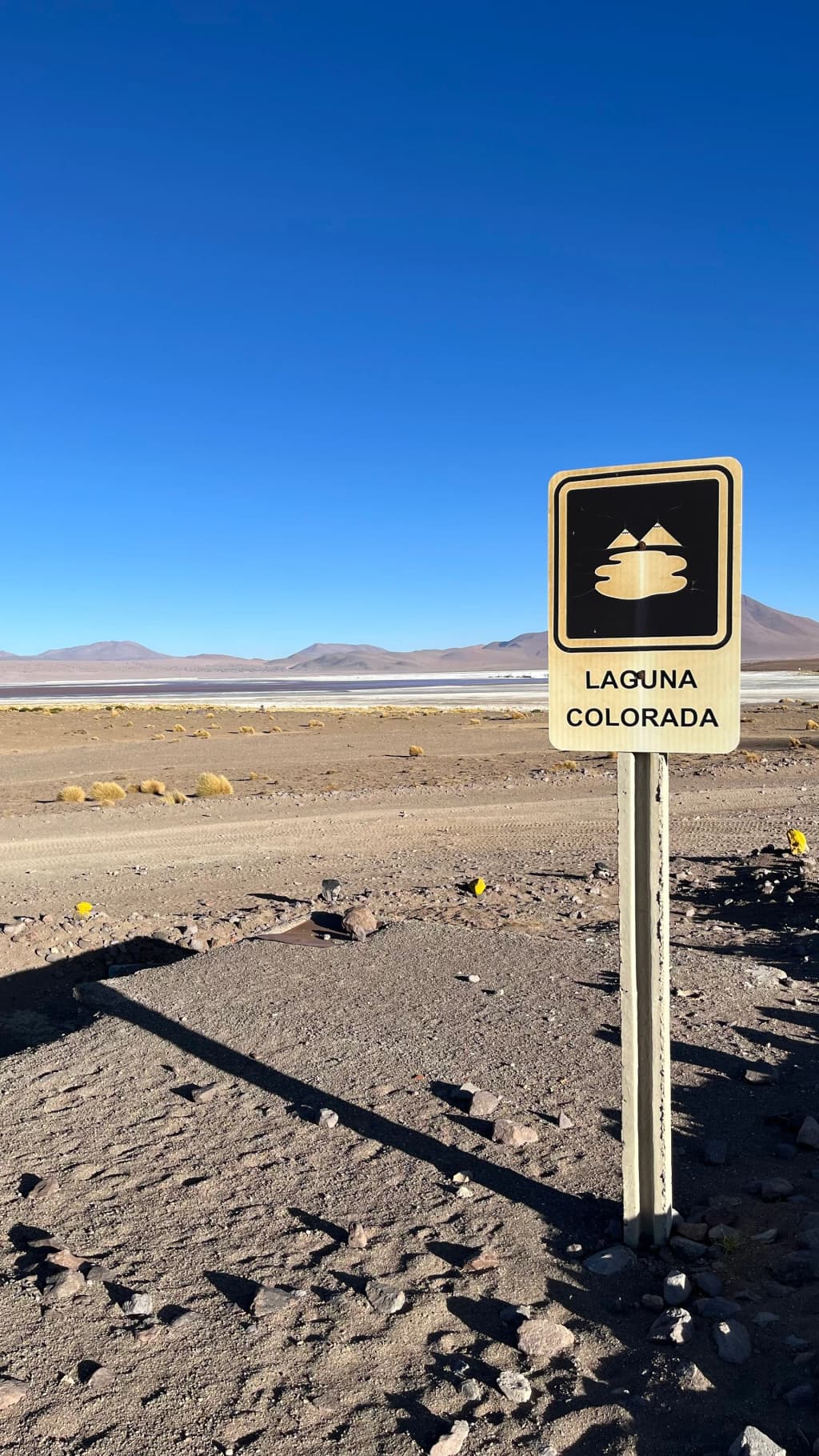 Flamingos wading in the red waters of Laguna Colorada