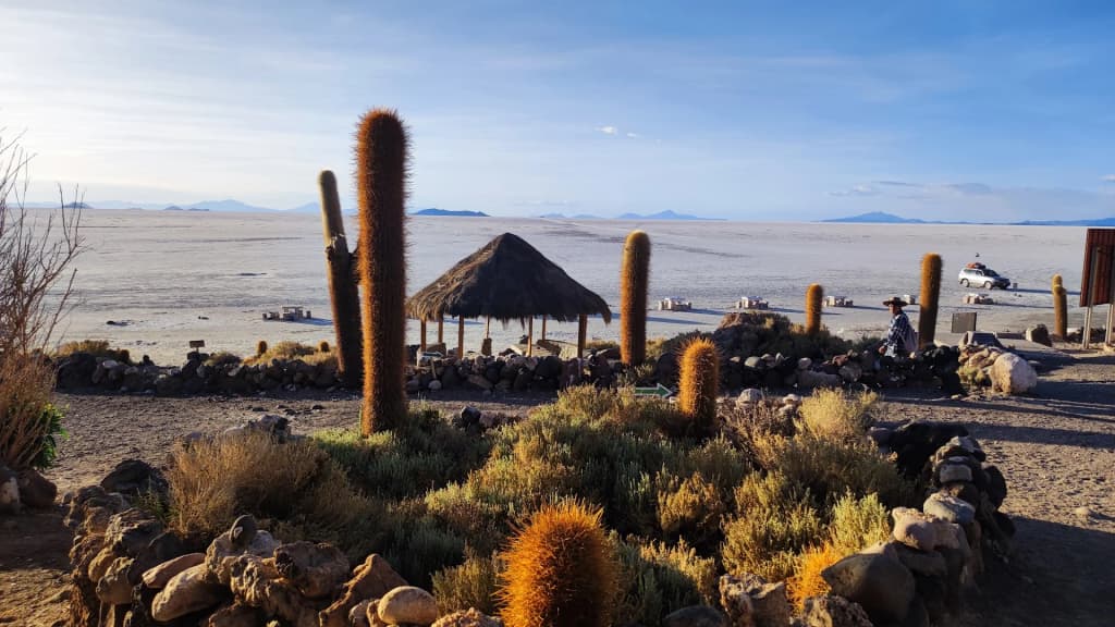 Giant cacti greeting the sunrise at Isla Incahuasi