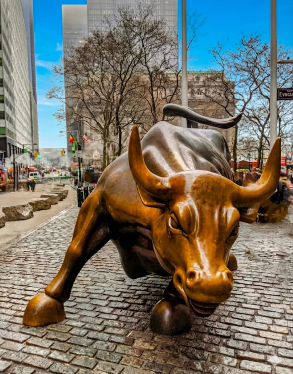 Charging Bull - Photo by Mark Barrett