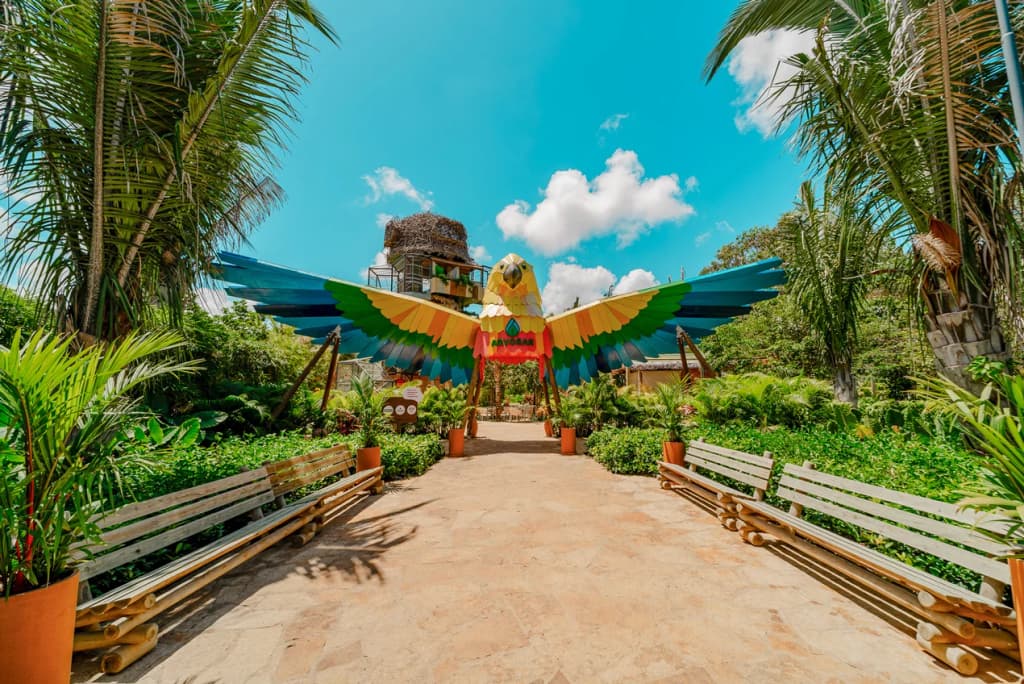 Rescued macaws flying freely at Parque Arvorar