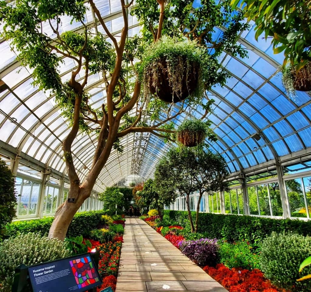 The surprising lush greenery of the New York Botanical Garden