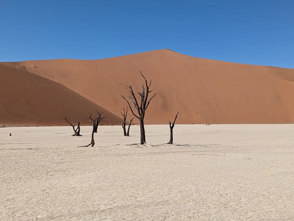 Ancient tree skeletons in Deadvlei Namibia