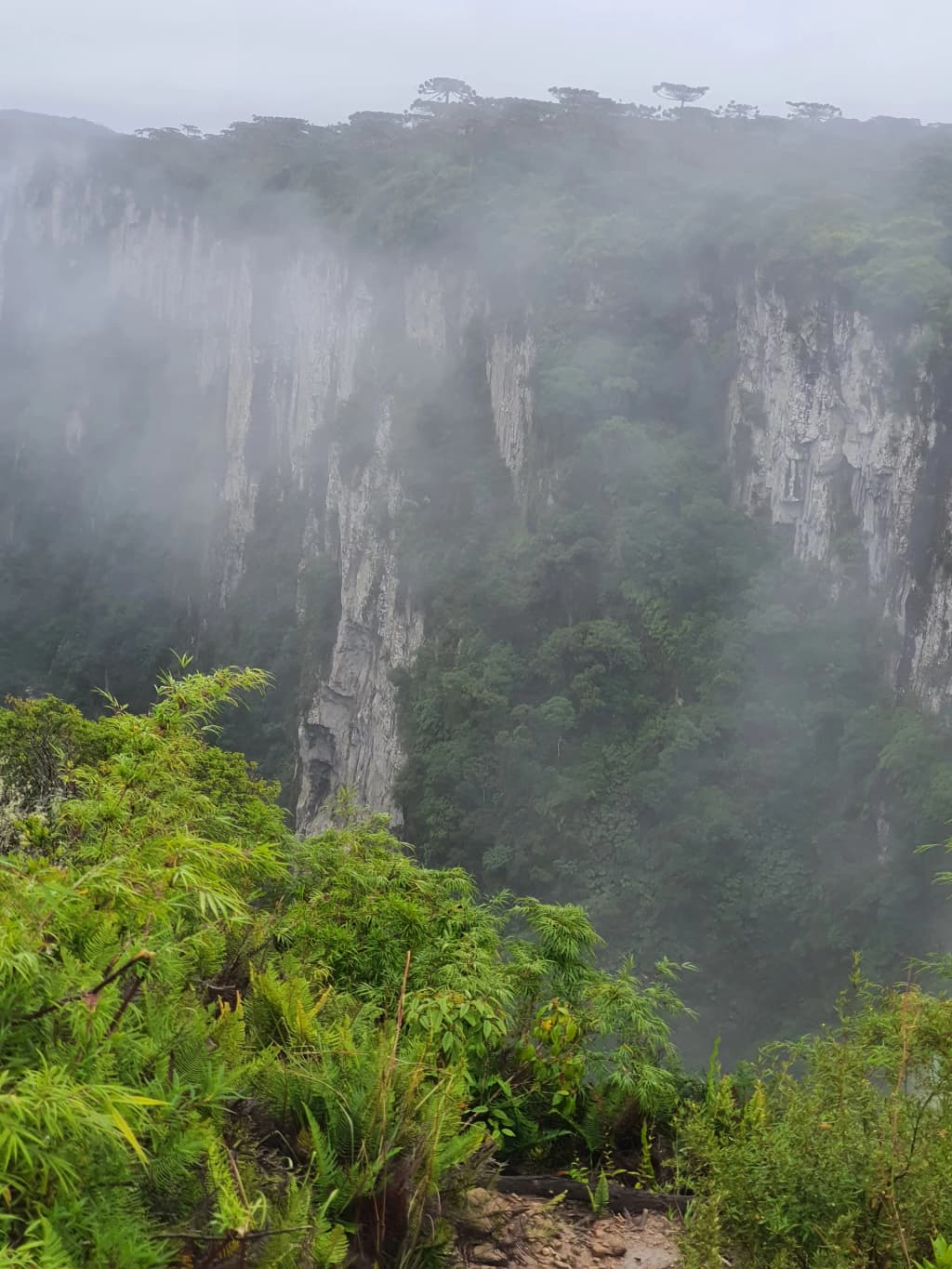 Looking down into the deep green valley of the canyon - Photo by Paulo GUIMA
