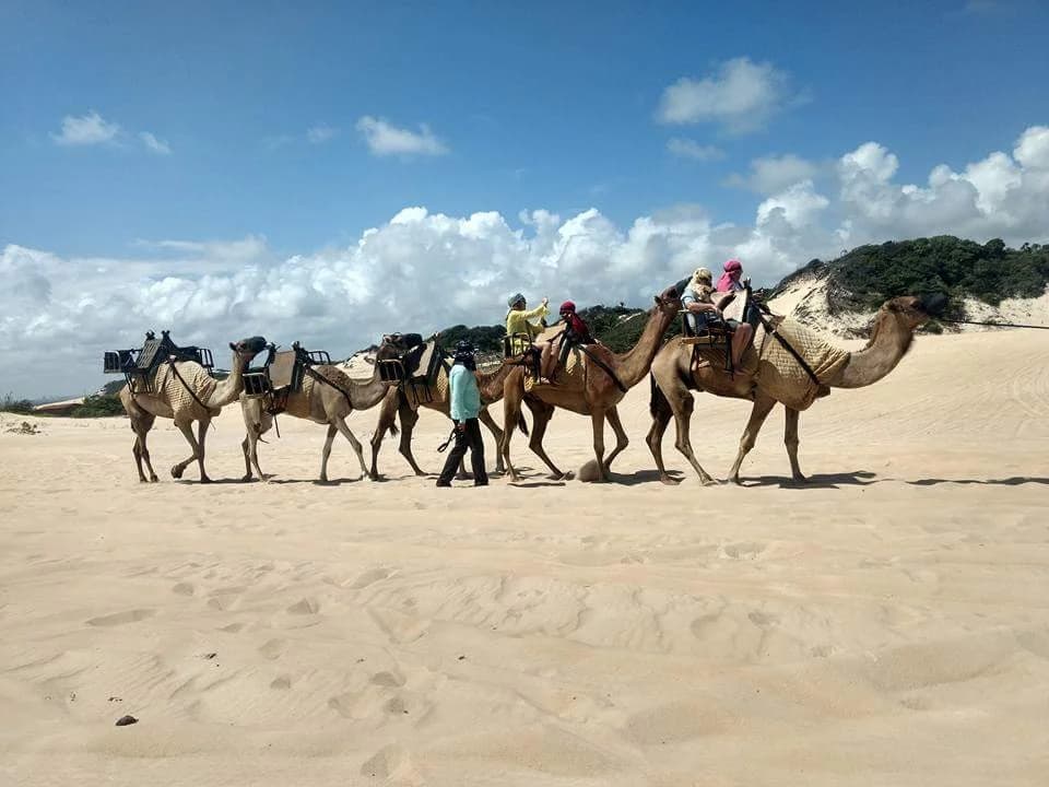 Buggy speeding through the Genipabu Dunes in Natal
