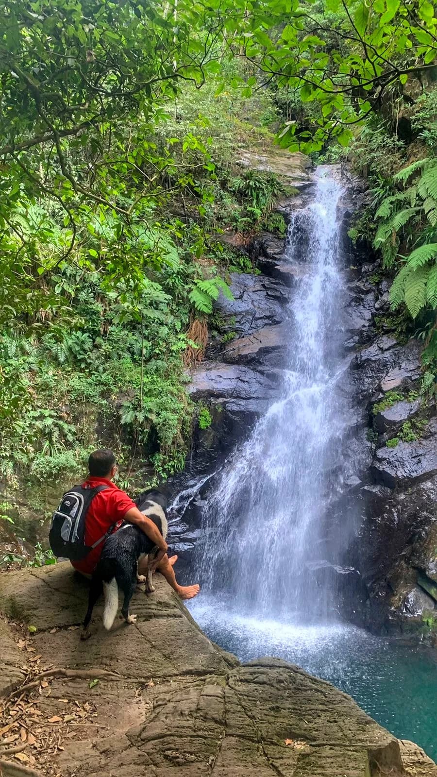 Serra do Mar - Photo by Amauri marrom