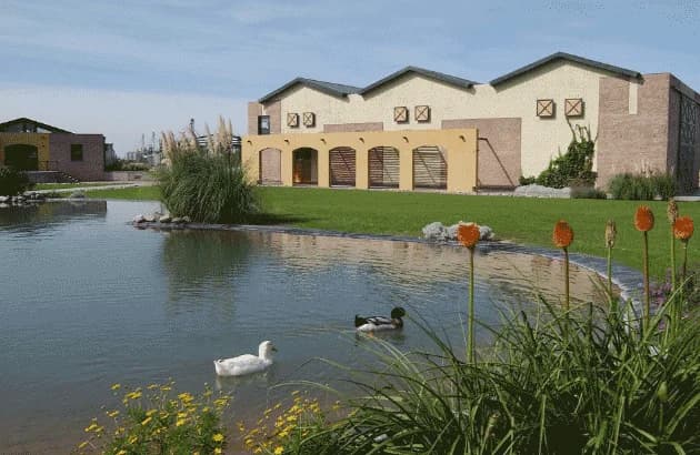 Bodega Tierras Altas - Photo by Bodega Tierras Altas