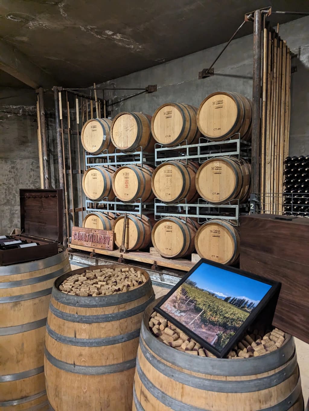 Mendoza Wine Tasting - Photo by Anna Weitnauer