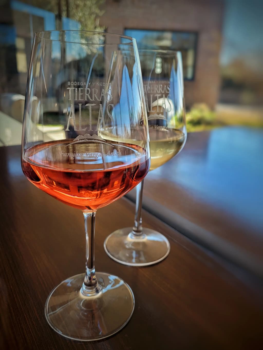 Mendoza Vineyard - Photo by Débora Sosa