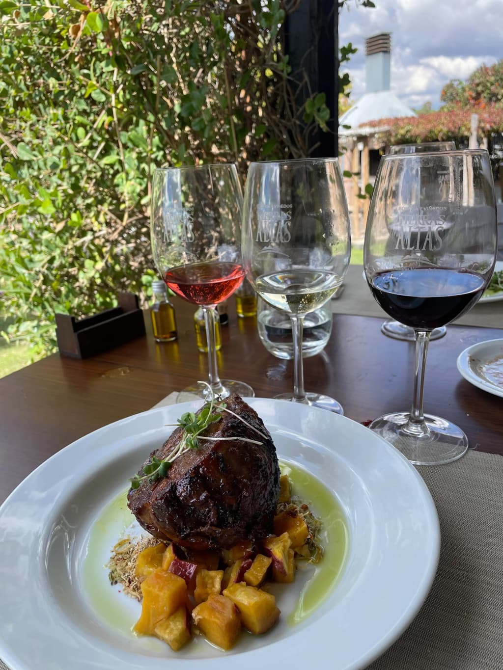 Mendoza Winery Architecture - Photo by Gabriely Pereira