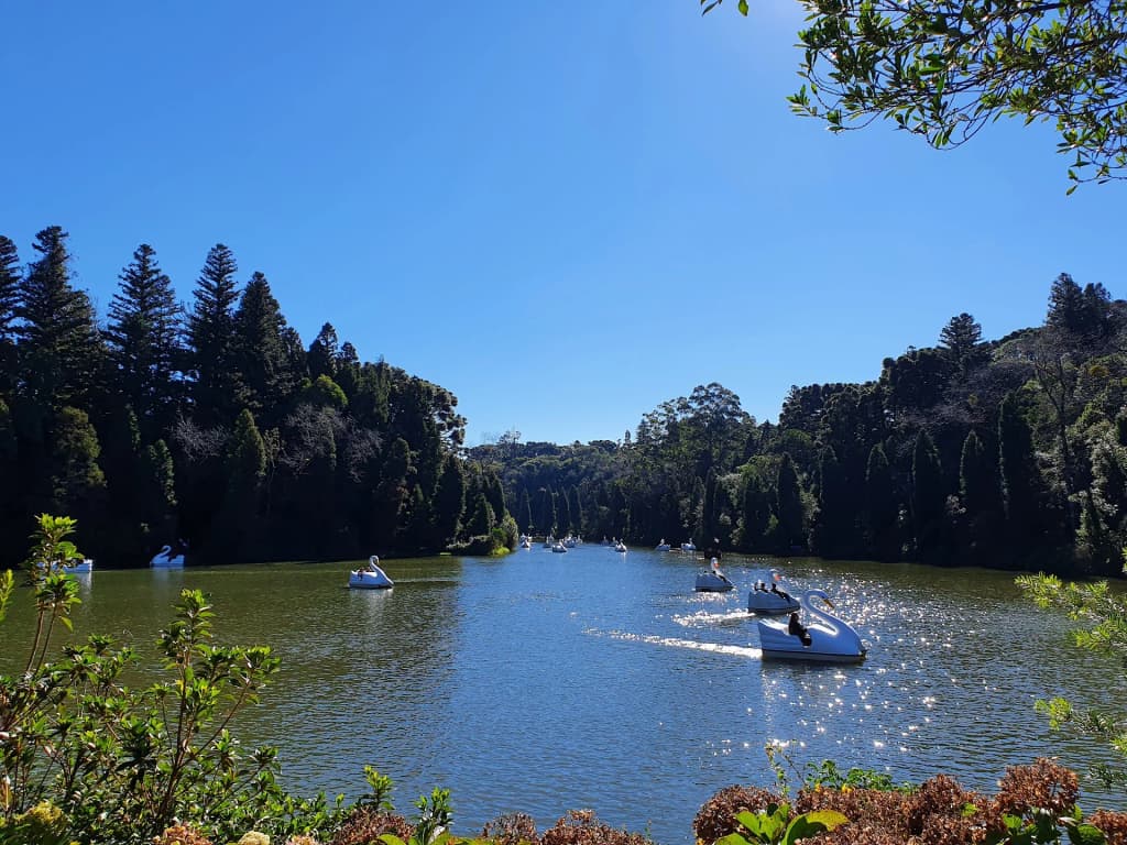 Lago Negro reflejando los pinos oscuros de Gramado