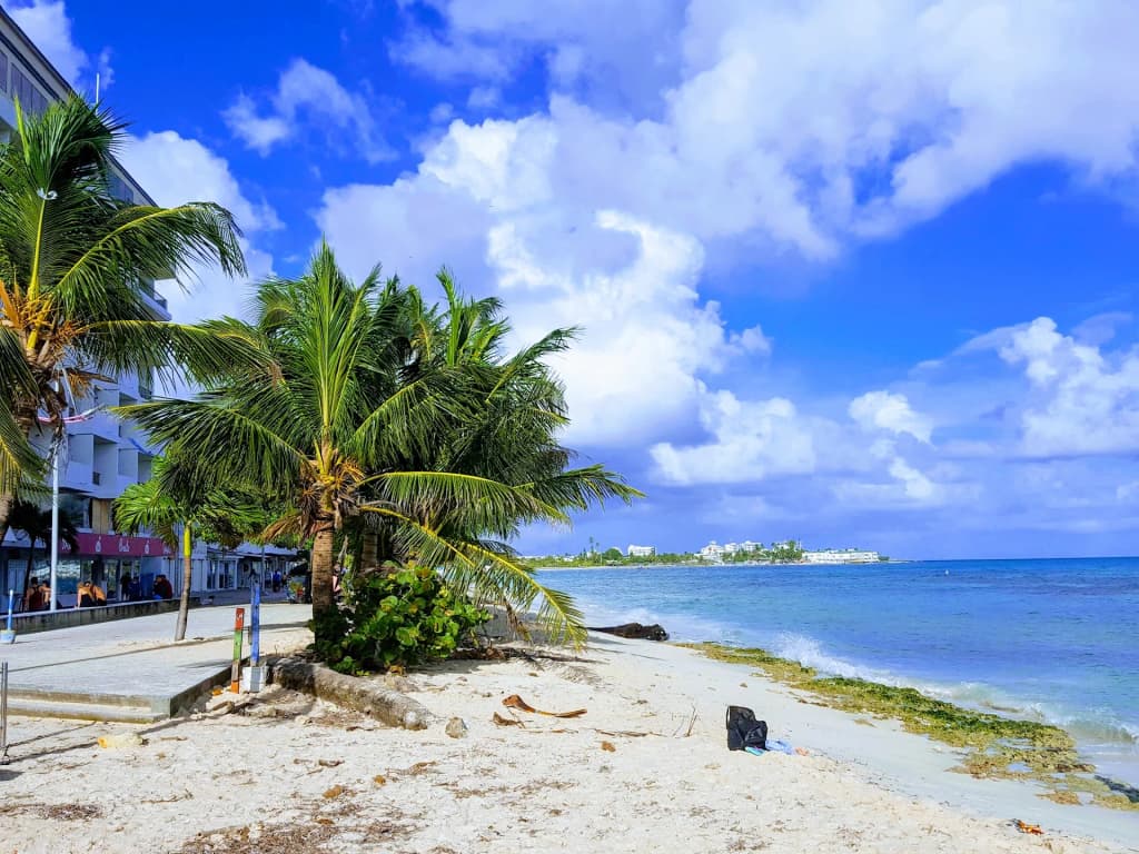 Driving down the palm tree lined road in San Andrés