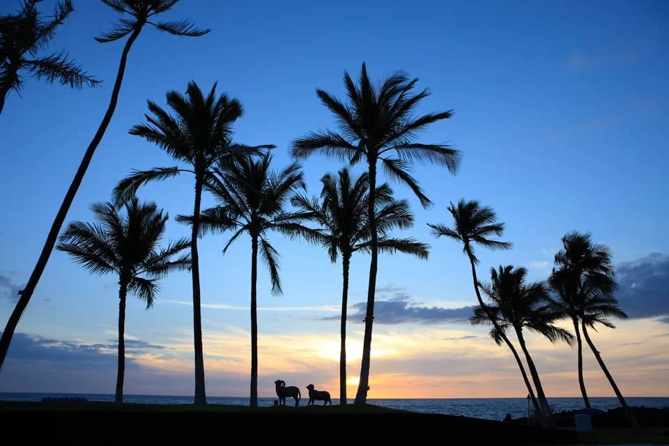 Snorkeling in the clear waters of San Andrés Acuario