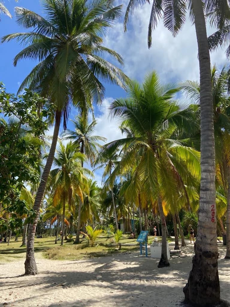 San Andrés - Photo by Valentina