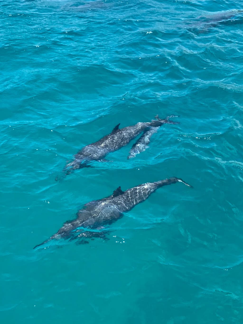 Fernando de Noronha - Photo by Tainá Souza