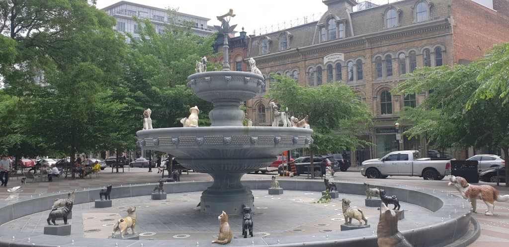 Downtown Toronto skyline with CN Tower visible - Photo by N Saini