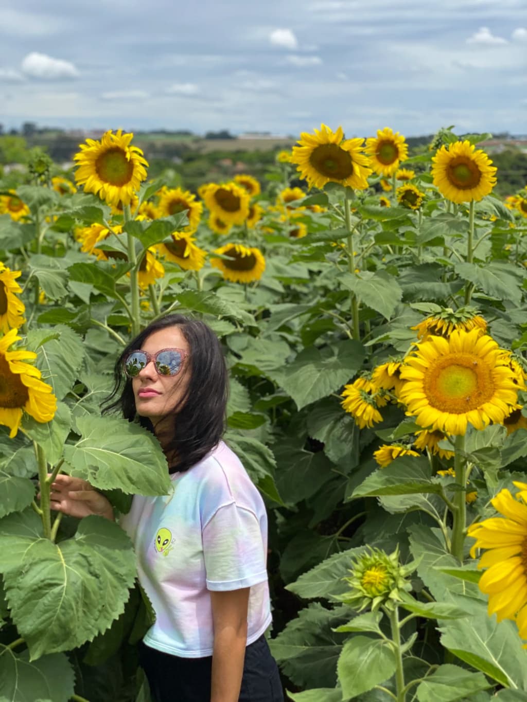 Rows of colorful flowers stretching across Bloemen Park in Holambra