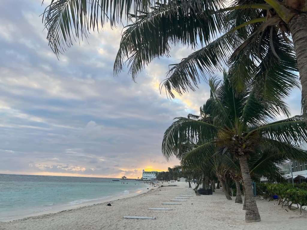 Palm trees and white sand at San Andrés