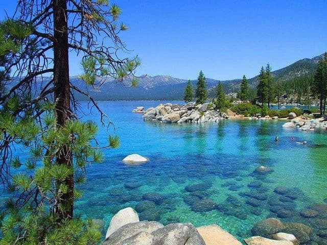 Crystal clear blue waters of Lake Tahoe surrounded by pine trees