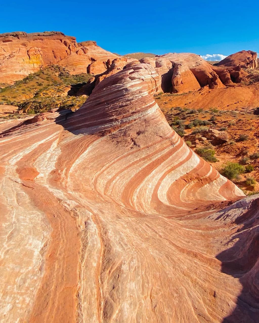Bright red sandstone formations glowing in the Valley of Fire State Park