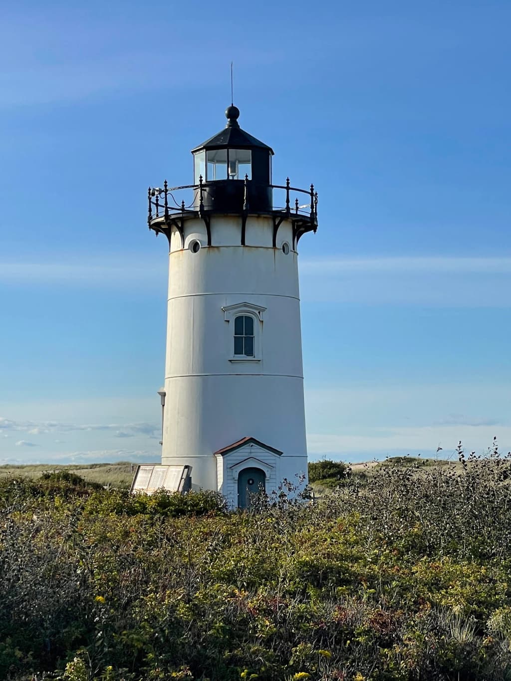 Wild dunes at Cape Cod National Seashore