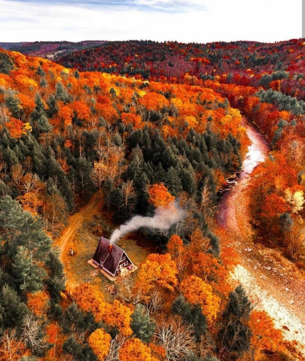 Lush green trails weaving through the Berkshires