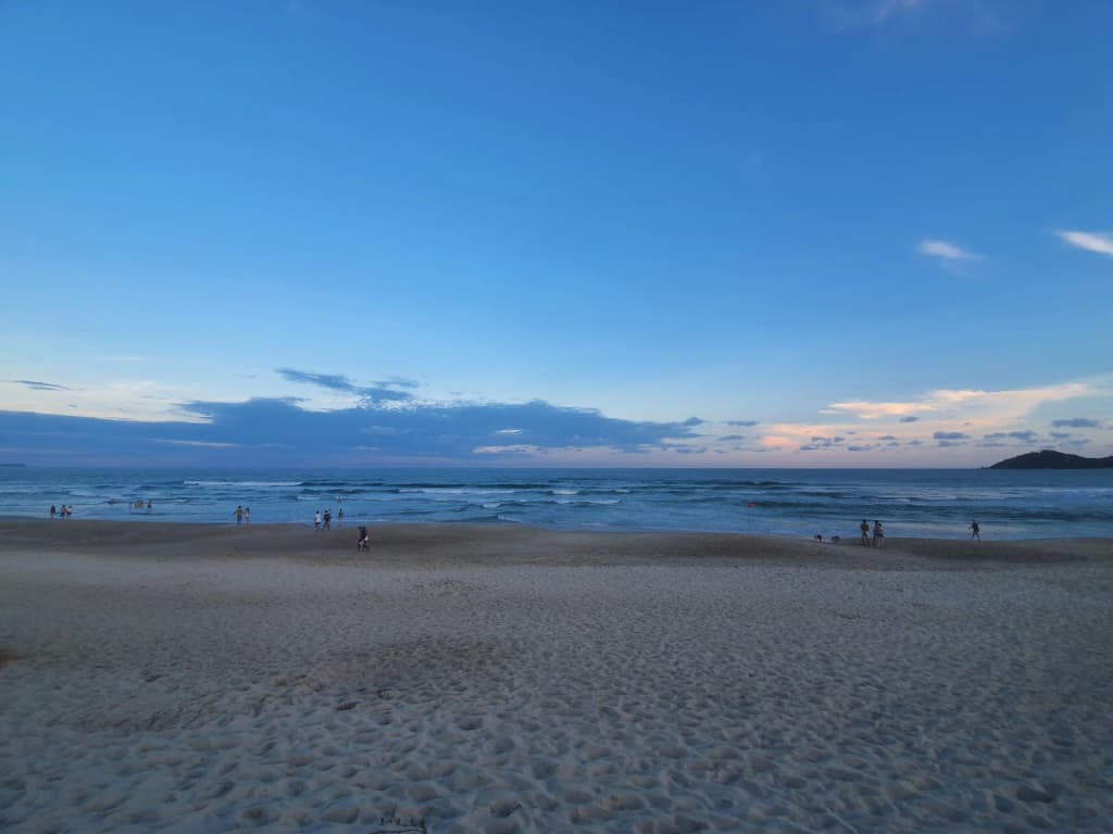 Hiking trails through the dense Atlantic Forest in Campeche