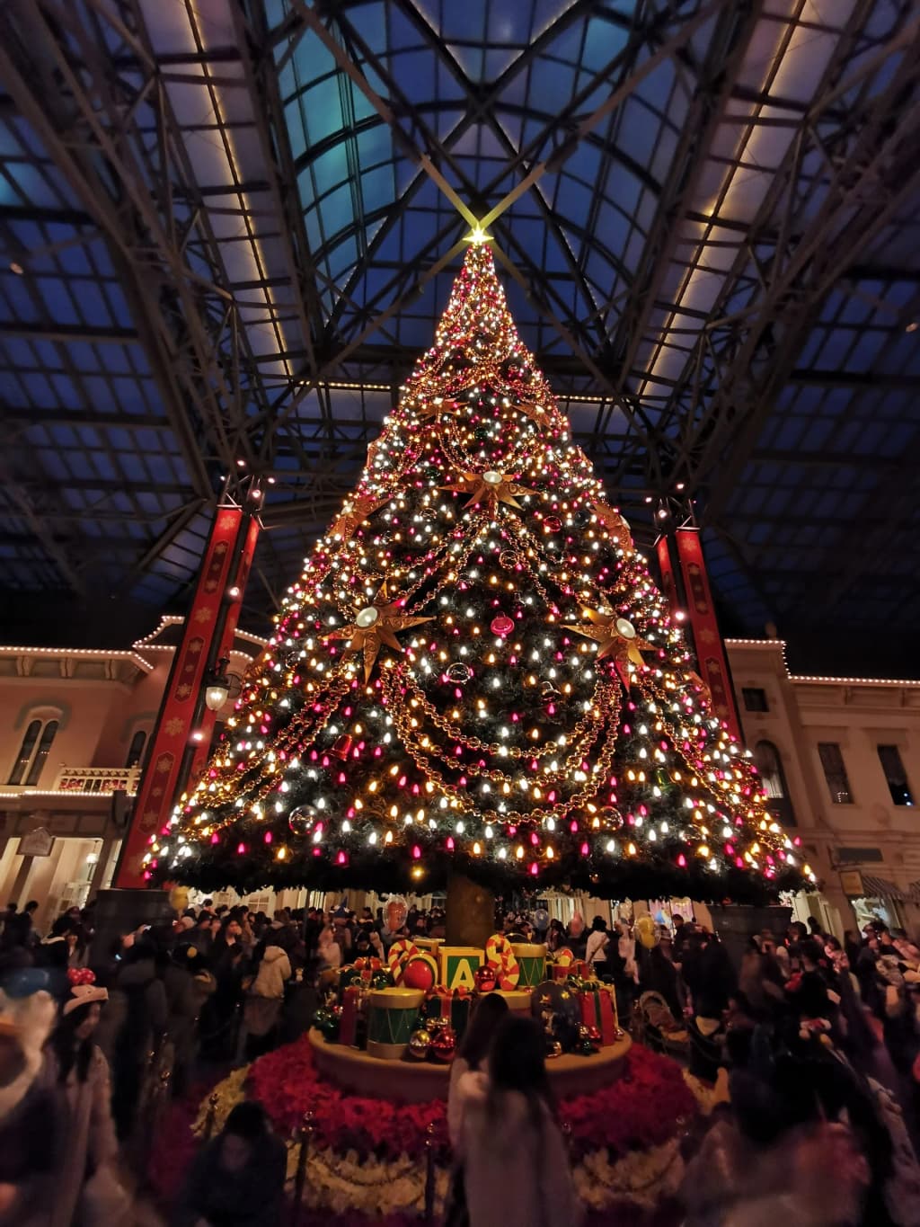 Tokyo Disneyland - Photo by Raman Singh