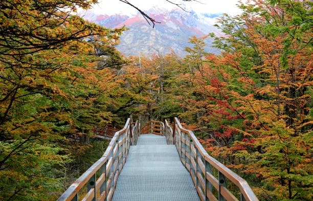 Parque Nacional Los Glaciares - Photo by Rafael Marcos Da Cruz