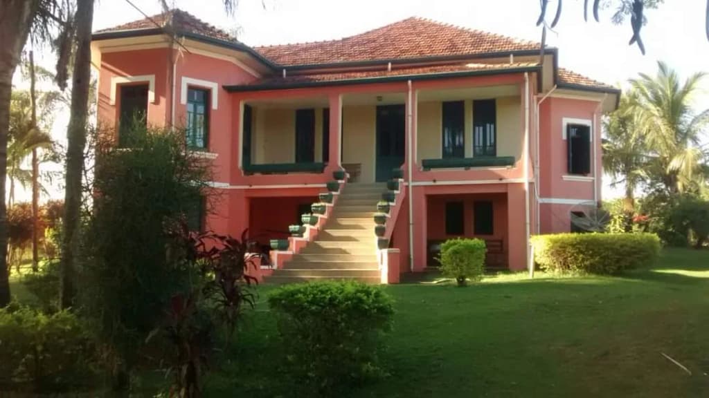 Lush greenery and farm landscapes at Fazenda Santa Terezinha