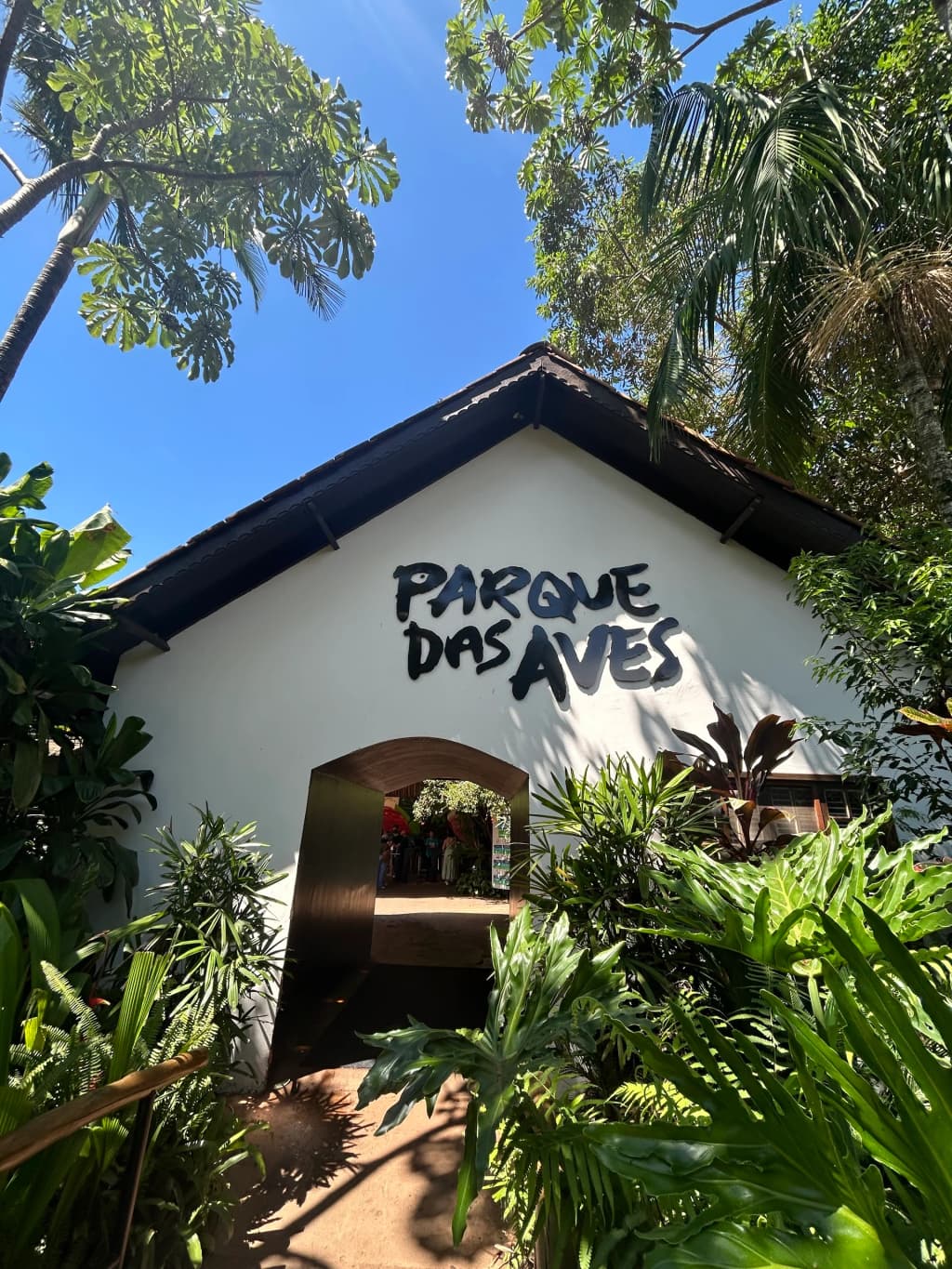 Rescued Toucan at Parque das Aves