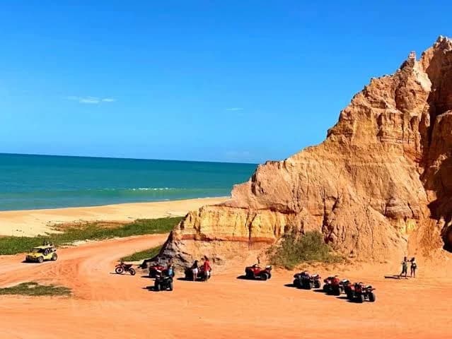 Palm-lined sands of Praia do Gunga, Alagoas