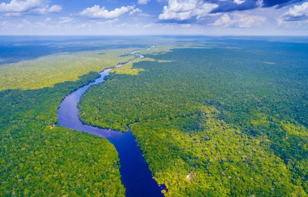 Amazon Rainforest - Photo by Arun