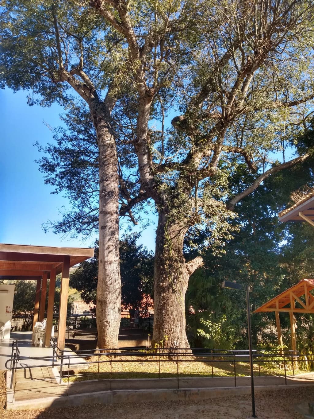 House Dr. Oswaldo Cruz - Photo by maria angela de jesus