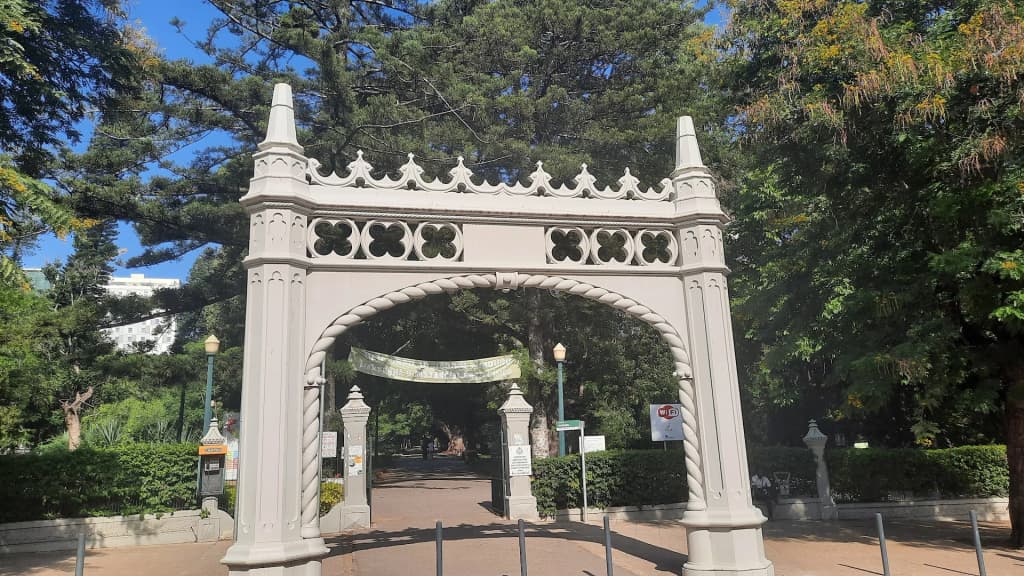 Lush tropical canopy and shadows at the Tunduru Botanical Gardens in Maputo